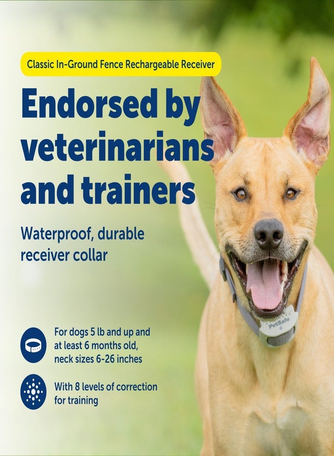 بيت سيف طوق استقبال قابل لإعادة الشحن من PetSafe Classic، مُصمم خصيصًا للأسوار الأرضية للكلاب والقطط - من الشركة الأم لعلامة Invisible Fence التجارية - 7 مستويات من التصحيح الثابت القابل للتعديل - مناسب للحيوانات الأليفة التي تزن 2.3 كجم فأكثر - Image 2